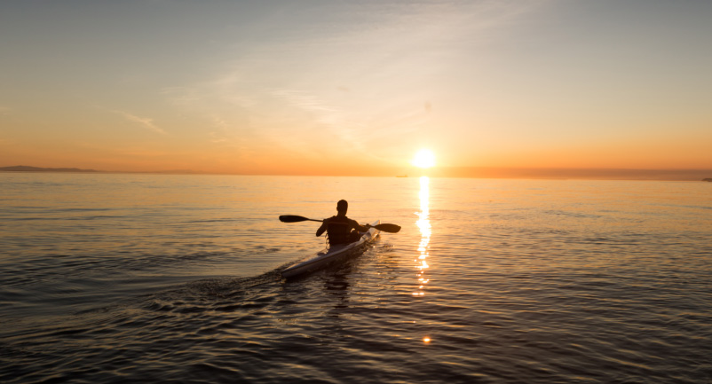 首页-人生就是博手机版