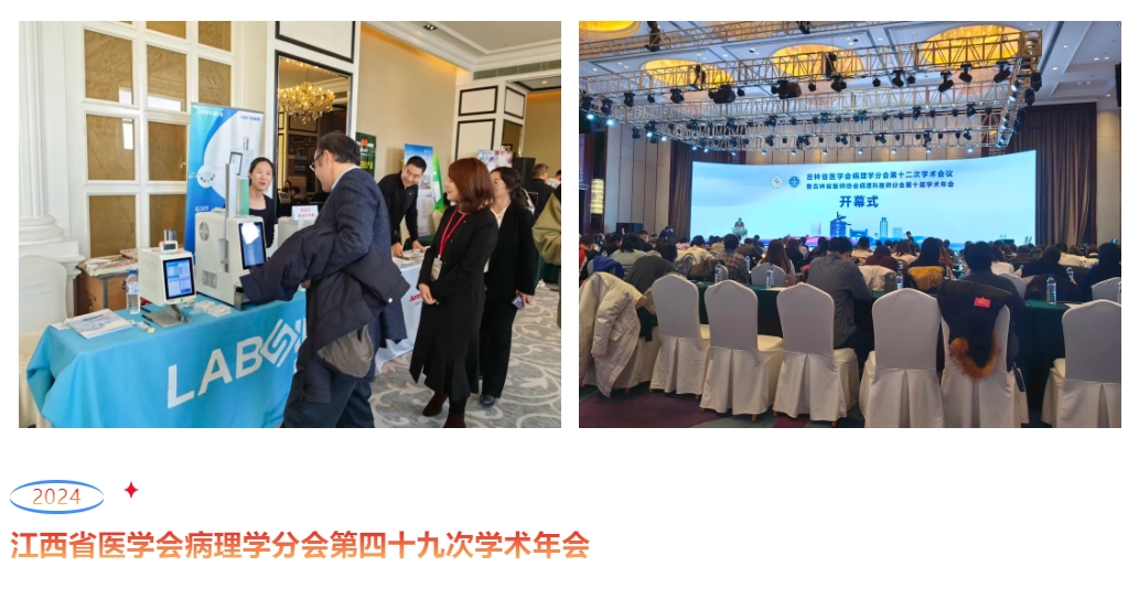 首页-人生就是博手机版